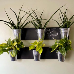 Indoor Wall Planter horizontal mount (one row of 3 pots)