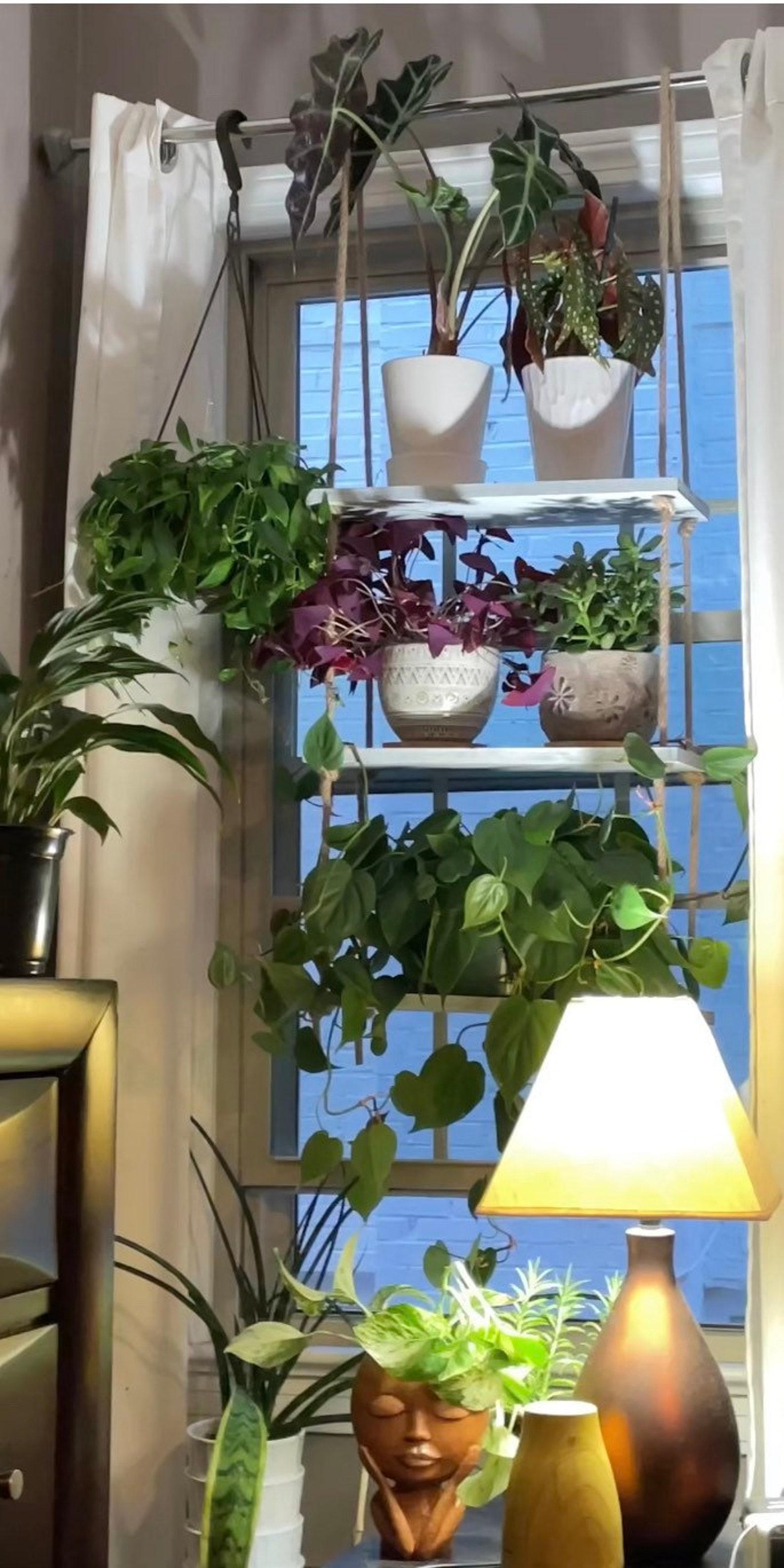3 Tier Hanging Plant Shelf - Etsy
