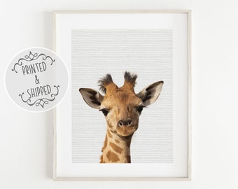Giraffe Print | Giraffe Art | Safari Art | Animal Print | Giraffe Print| Home Decor | Giraffe Wall Art
