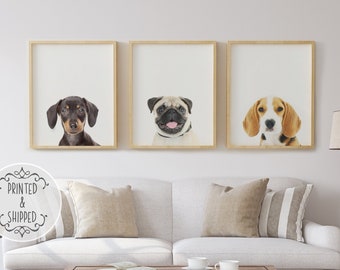 Puppy Dog Print | Dog Wall Art | Animal Nursery Decor | Nursery wall art | Puppy Poster | Baby Decor, Dachshund, Pug, Beagle Print, Set of 3