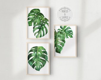 Monstera Art | Etsy