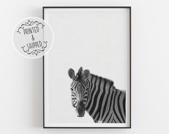 Zebra Print | Zebra Art | Safari Art | Animal Print | Plains Zebra Print| Home Decor | Zebra Wall Art