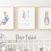 Peter Rabbit Nursery Prints Baby Name Print Peter Rabbit | Etsy