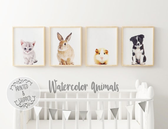 baby animal wall art