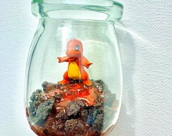 Charmander Terrarium
