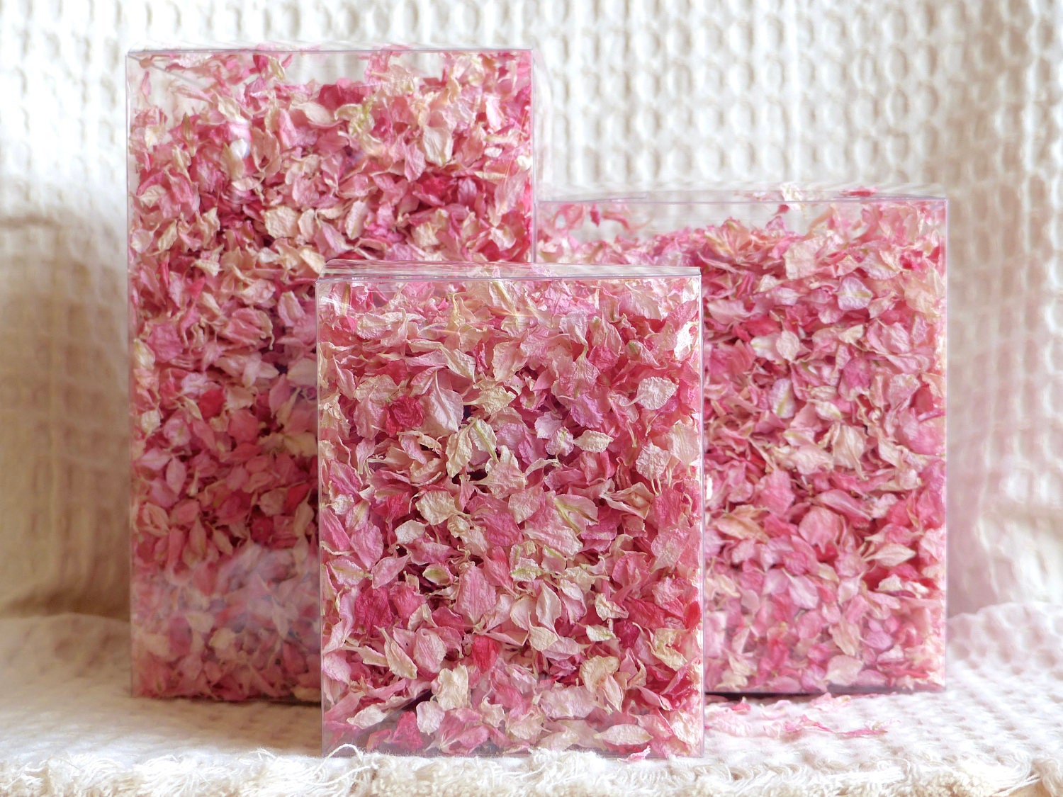 Real Flower Petal Confetti All Natural Pink EcoFriendly Etsy