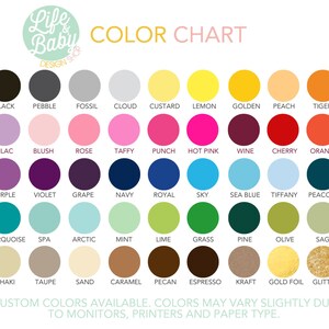 Pu&ograve; includere: Tabella colori con 48 diversi campioni di colore. Ogni campione di colore &egrave; un cerchio con il nome del colore scritto sotto. I nomi dei colori includono nero, ciottolo, fossile, nuvola, crema, limone, dorato, pesca, tigre, lilla, blush, rosa, caramella, punch, rosa acceso, vino, ciliegia, arancione, viola, violetto, uva, blu navy, blu reale, cielo, blu mare, tiffany, pavone, turchese, spa, artico, menta, lime, erba, pino, oliva, salvia, kaki, taupe, sabbia, caramello, noce pecan, espresso, kraft, foglia d'oro e glitter.