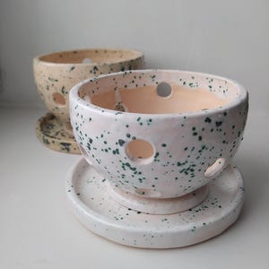 Puede incluir: Dos macetas de cerámica para orquídeas con platillos a juego. La maceta delantera es blanca con motas verdes y el interior es color melocotón. La segunda maceta es beige con motas verdes. Ambas macetas tienen agujeros de drenaje.