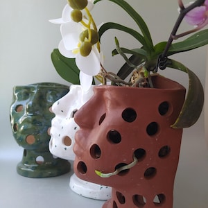 May include: Three ceramic head-shaped planters with circular cutouts arranged in a row. The front planter is terracotta-colored, the middle is white with black speckles, and the back is glossy green. An orchid with white and purple flowers sits inside.