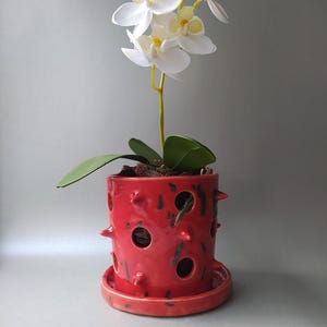 Peut inclure: Un pot à orchidée en céramique rouge vif avec une finition brillante, doté de multiples trous de ventilation circulaires et de petites pointes saillantes. Le pot repose sur une soucoupe rouge assortie et contient une orchidée blanche.
