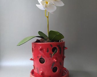 May include: A bright red ceramic orchid pot with a glossy finish, featuring multiple circular ventilation holes and small protruding spikes. The pot sits on a matching red saucer and contains a white orchid plant with green leaves and brown bark.