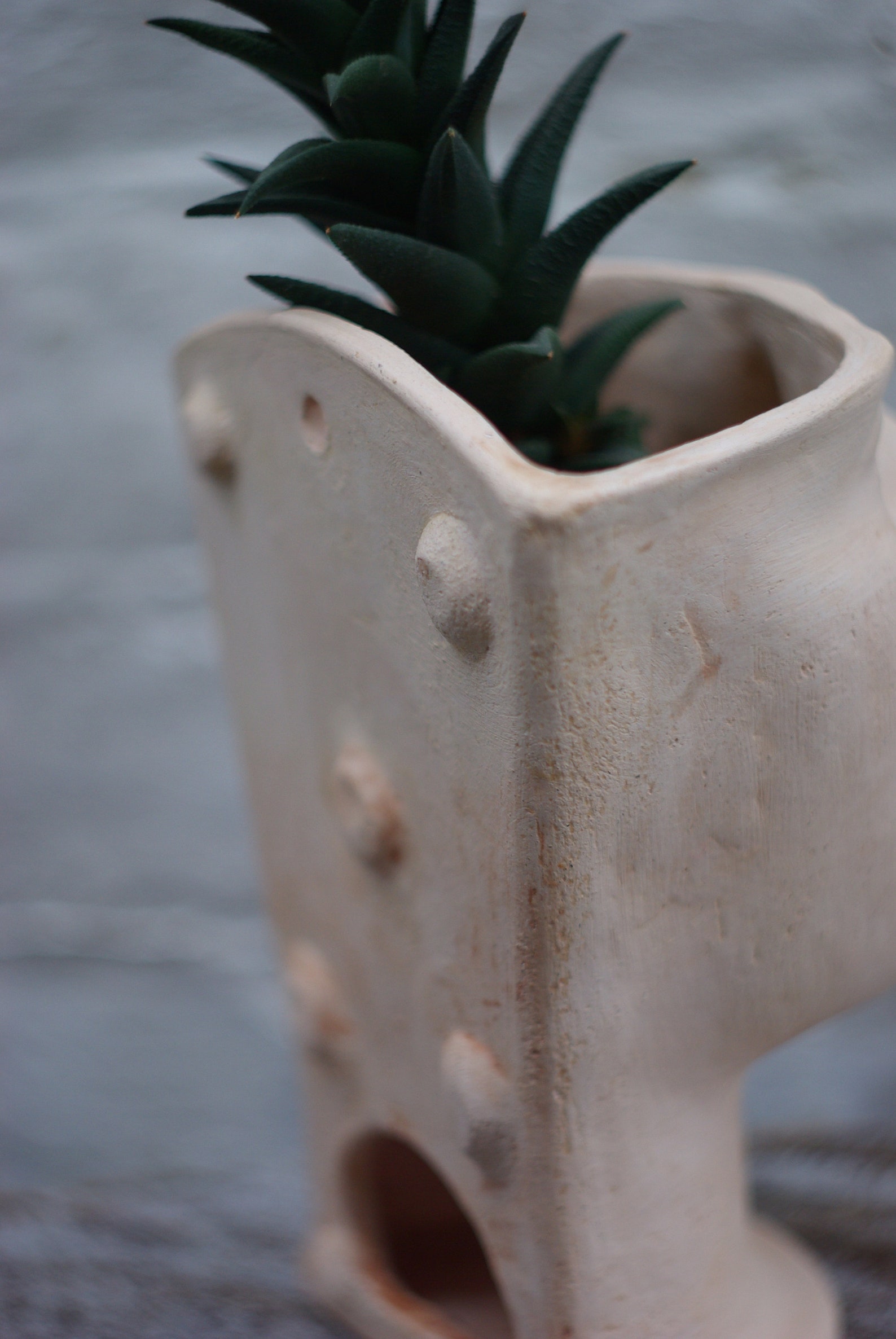 Terracotta Wall Mounted Head Planter / Beige Wall Flowerpot / Etsy