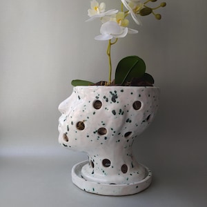 Orchid Pot with Holes for Roots | Ceramic Orchid Planter