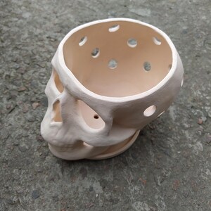 May include: A cream-colored skull-shaped planter with multiple circular openings on top. The planter has eye sockets, a nose cavity, and a jawline. The skull is made of a smooth material and sits on a gray surface.