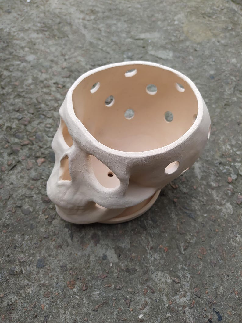 May include: A cream-colored skull-shaped planter with multiple circular openings on top. The planter has eye sockets, a nose cavity, and a jawline. The skull is made of a smooth material and sits on a gray surface.