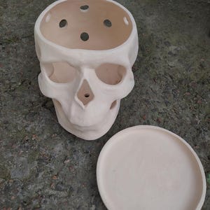 May include: A cream-colored skull-shaped planter with a matching round saucer. The planter has eye sockets, a nose cavity, and a top with several drainage holes. The planter and saucer are made of a matte material.