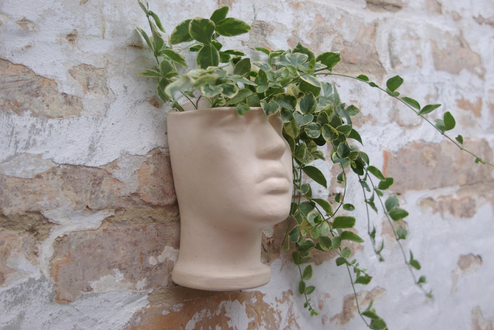 Terracotta Wall Mounted Head Planter / Beige Wall Flowerpot / Etsy