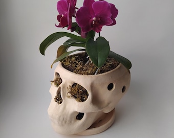 Macetas para orquídeas con agujeros / Maceta de terracota / Maceta con forma de calavera