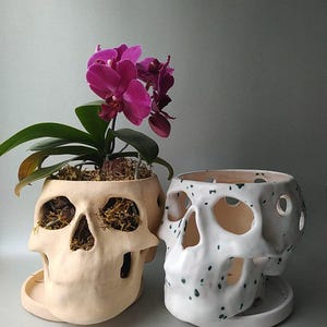 May include: Two skull-shaped ceramic plant pots. One is beige and contains a purple orchid. The other is white with dark green speckles. Both have open eye sockets, noses, and mouths. The pots are on a light grey surface.