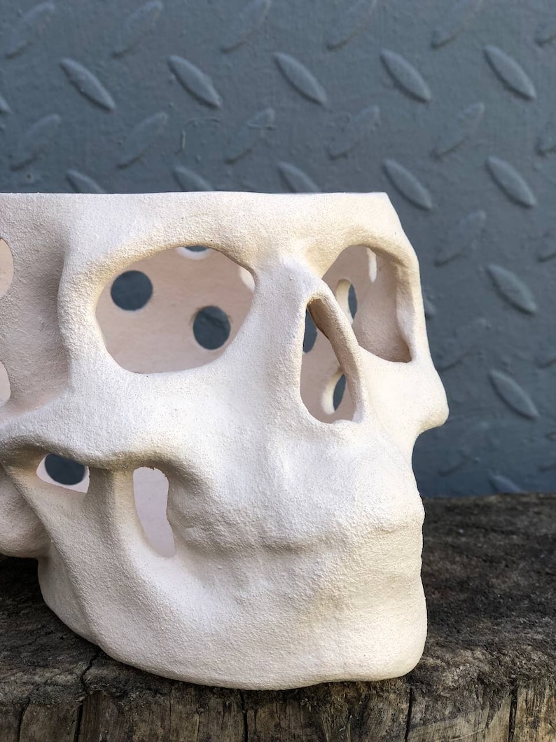 May include: A white, ceramic skull-shaped planter with large eye sockets and nose cavity. The planter has several circular holes on the sides. The skull is placed on a weathered wooden surface, with a gray metal background.