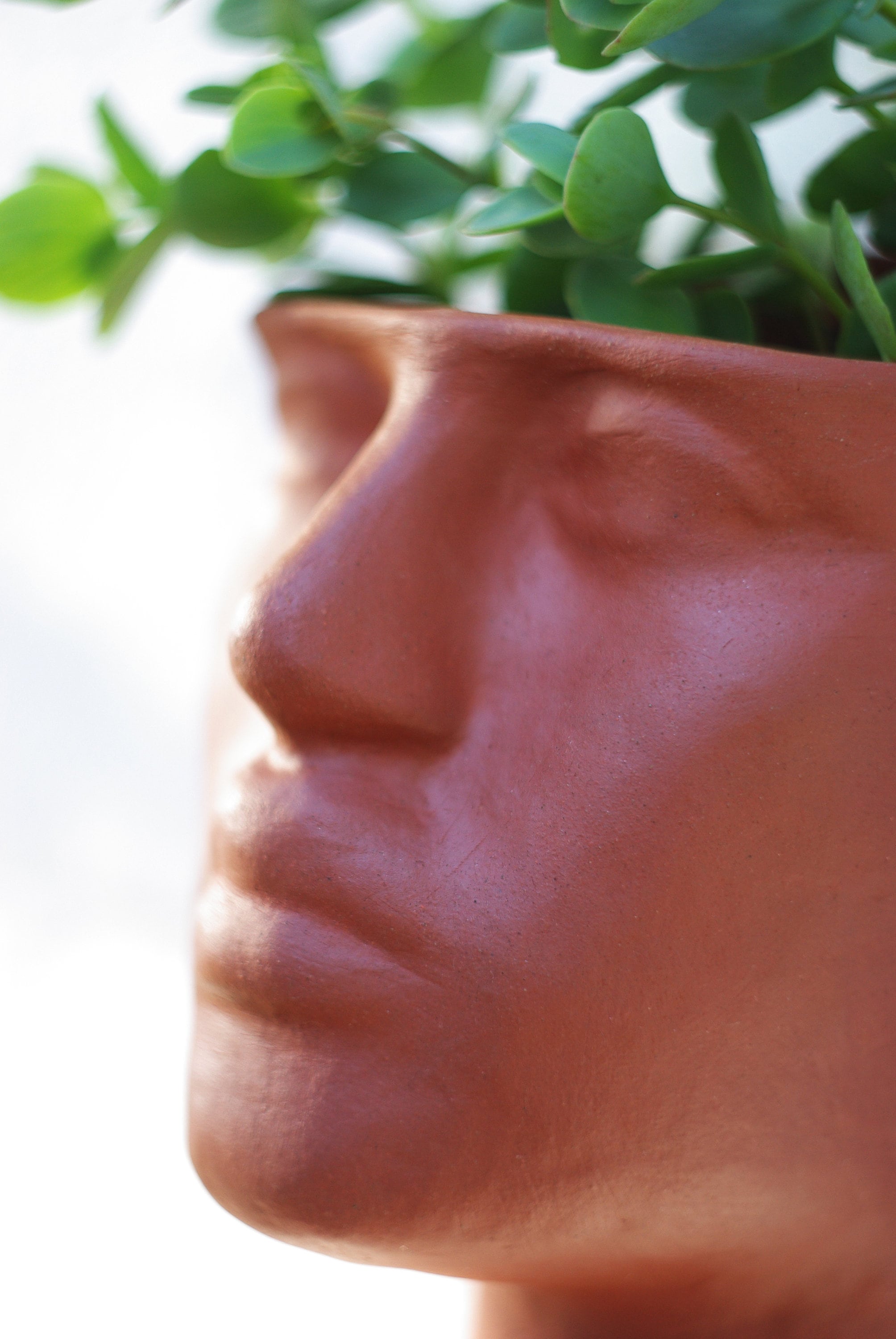 Terracotta Wall Head Pot / Wall Planter / Woman Head Planter Etsy