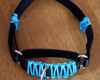 Puede incluir: Un collar de perro negro y azul con un anillo plateado. El collar está hecho de un material suave y duradero y tiene un cierre de hebilla seguro.