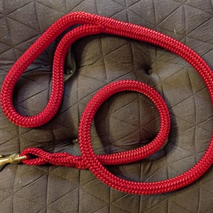 Heavy Duty Dog Leash