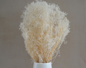Bleached Dried Baby's Breath: Wedding Flower Filler, Home Decor