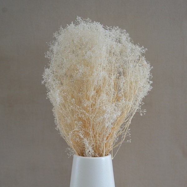 Dried Baby's Breath, Dried Gypsophila, Dried Flowers, Wedding flowers, Home decor, Gift, Flower Filler, Bridal Bouquet, Wedding Decor