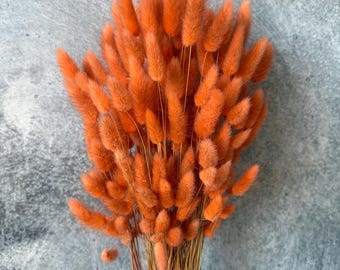 Lagurus Flower Bush