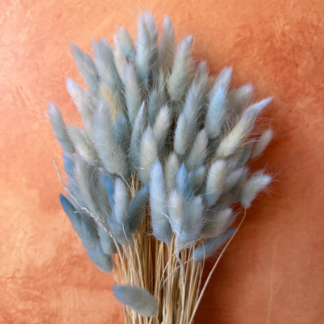 Preserved Two Tone Blue Bunny Tail - Etsy