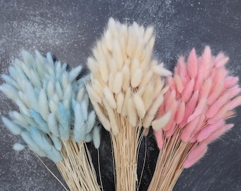 Dried Lagurus Flower Bundle, Bunny Tails Grass, Wedding Decor