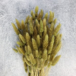 Lagurus Flower Bush, Dried Flowers, Wedding Flowers, Bunny tails flowers, Gift, Wedding Bouquet, Bridal Bouquet, Home Decor
