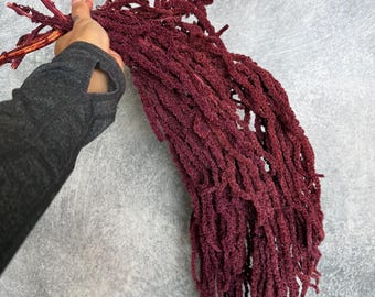 SALE! Amaranthus preserved burgundy