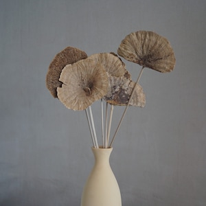 MUSHROOMS, Dried Flowers, Home Decor, Wedding Flowers - 19&quot; Tall, 6 stems