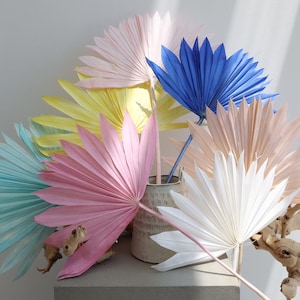 Sunpalm leaves, Dried Flowers, Sun Palm Leaves, Wedding Flowers, Home Decor, Dried Sun Palm Leaf Fans, Boho Wedding, Gifts, Palm Leaf