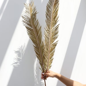 Dried Sago Palm leaves, Dried Palm, Palm leaves, wedding flowers, home decor, Dried  Palm Leaf Fans, Sago Palm leaves, Boho wedding, Gift