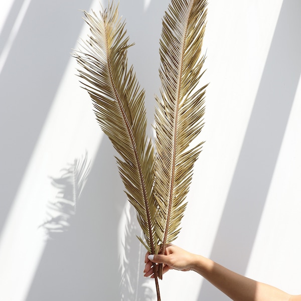 Dried Sago Palm leaves, Dried Palm, Palm leaves, wedding flowers, home decor, Dried  Palm Leaf Fans, Sago Palm leaves, Boho wedding, Gift