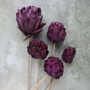 Dried Artichoke stems, Dried Flowers, Wedding flowers, Home decor, Natural Dried Artichoke, Gifts