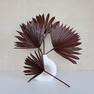 Chocolate Palm leaves, Dried Flowers, sun palm leaves, wedding flowers, home decor, Dried Sun Palm Leaf Fans 16&quot; Tall. 5 pieces per 1 order