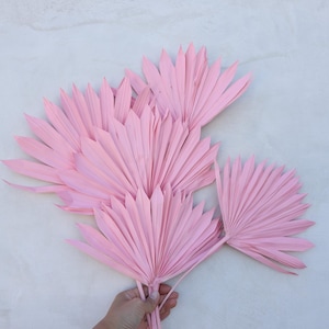 Palm leaves, Dried Flowers, sun palm leaves, wedding flowers, home decor, Dried Sun Palm Leaf Fans, boho wedding, gift, wedding decor
