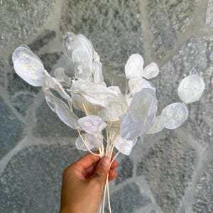 Bleached Lunaria Stems: Dried Silver Dollar Plant, Ivory White Home Decor