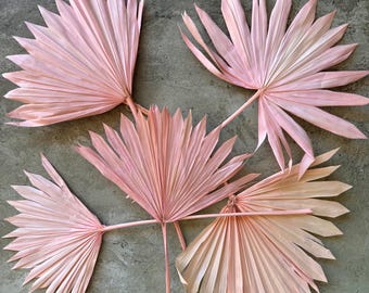 Palm leaves, Dried Flowers, sun palm leaves, wedding flowers, home decor, Dried Sun Palm Leaf Fans, boho wedding, gift, wedding decor