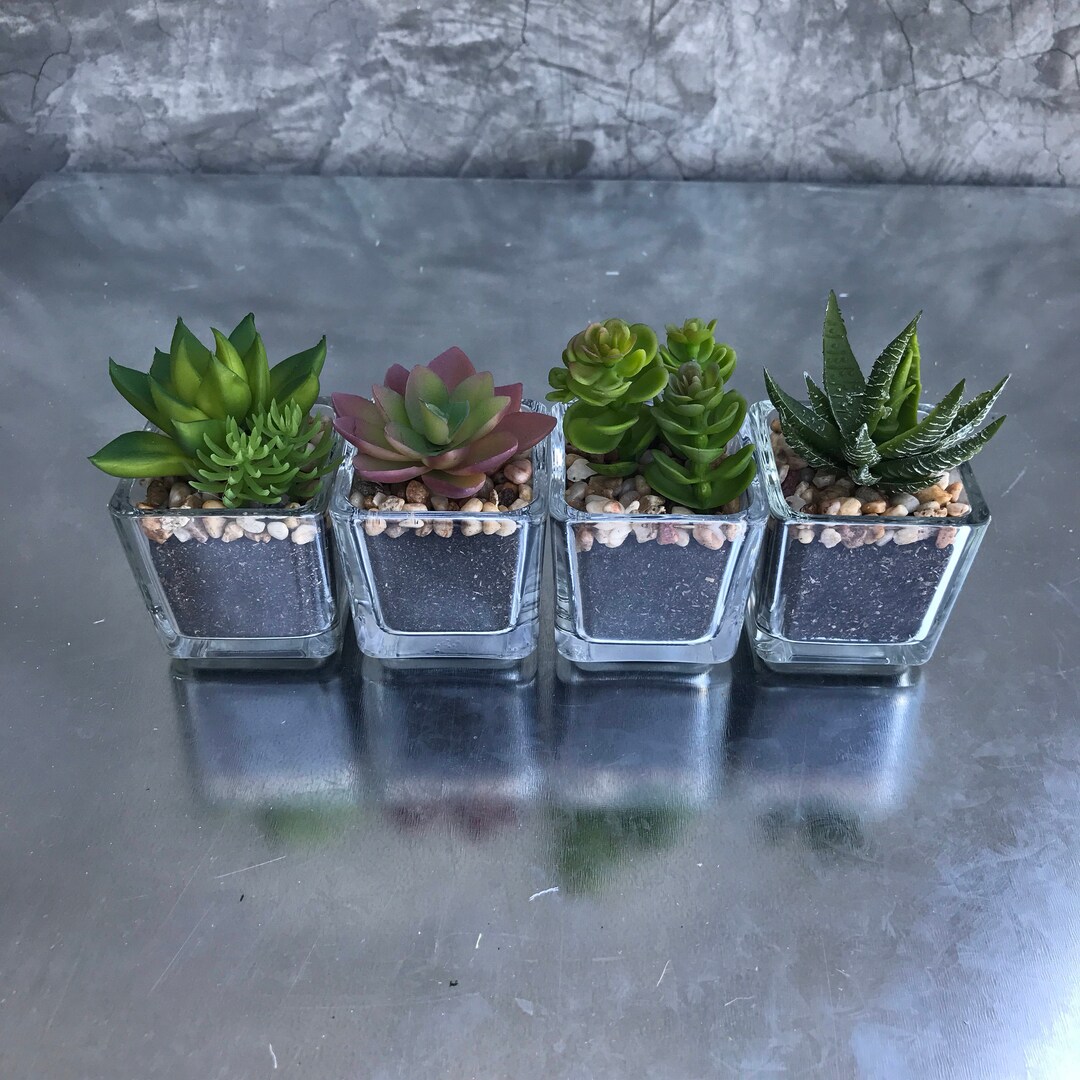 Faux Desert Plants, Succulent Plants, Wedding Flowers, Home Decor, Faux