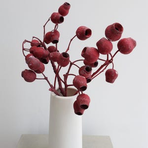 May include: A white ceramic vase holds a display of red eucalyptus seed pods. The pods are clustered on thin, reddish-brown stems. The vase is cylindrical and sits on a light gray surface.