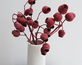 Dried Bellgum