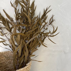 Preserved Eucalyptus Bush, seeded eucalyptus, Willow eucalyptus, dried eucalyptus, eucalyptus, wedding decor, Dried Flowers, Home Decor