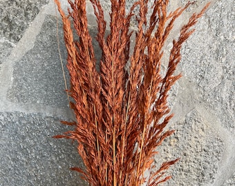 Wild oats Natural/ Burnt oak, Dried Flowers, Wedding flowers, Home decor 38" tall