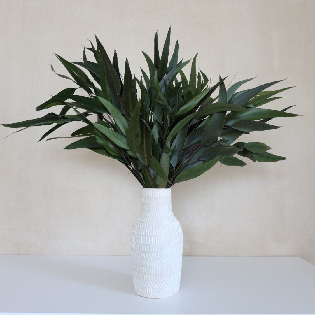 Curated visual reference: Gallery Detail: Preserved Eucalyptus Willow Bush Dried Flowers Eucalyptus Willow