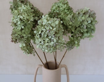 Hydrangea Flowers, Hydrangeas, Dried Flowers, Everlasting Flowers, Home Decor, Wedding Flowers, Dried Hydrangea, Gifts, Bridal bouquet